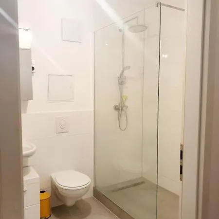 Apartament With Terrace In Mitte 2011 Apartment